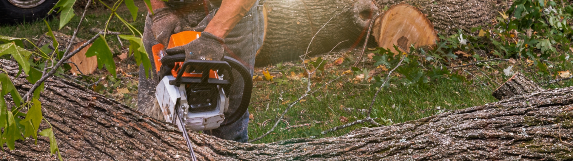 Contact Huff’s Tree Service Wichita, KS (316) 8713841