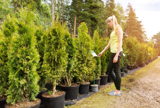 a woman peruses a row of potted trees at a nursery