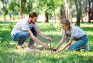 a man and a woman work together to plant a young tree in a yard