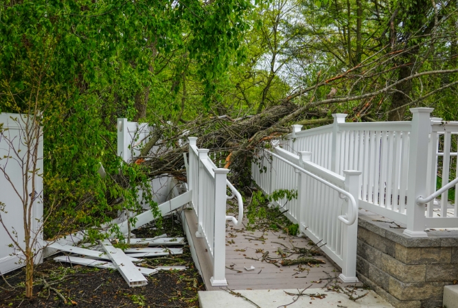 a tree has fallen over and broken a fence and rails